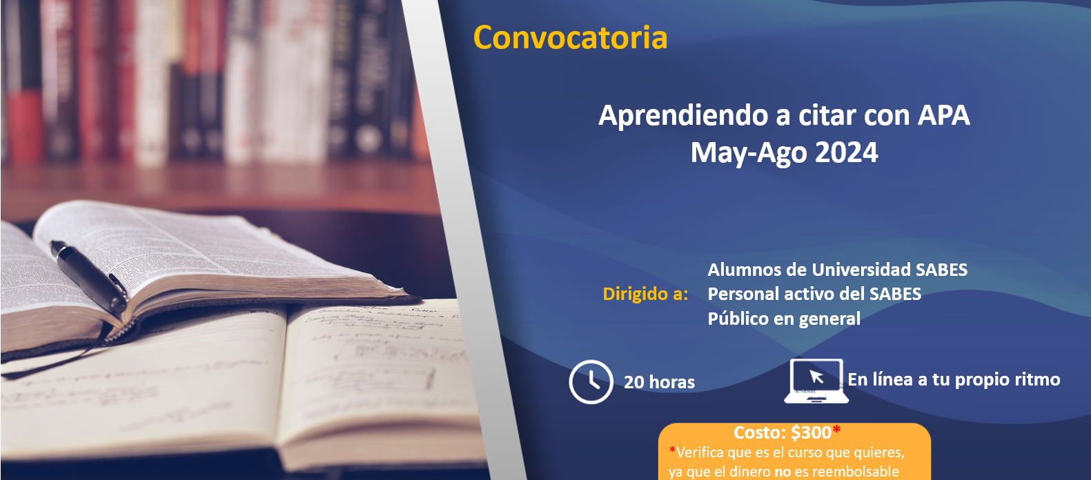 educacion_continua/APA.png